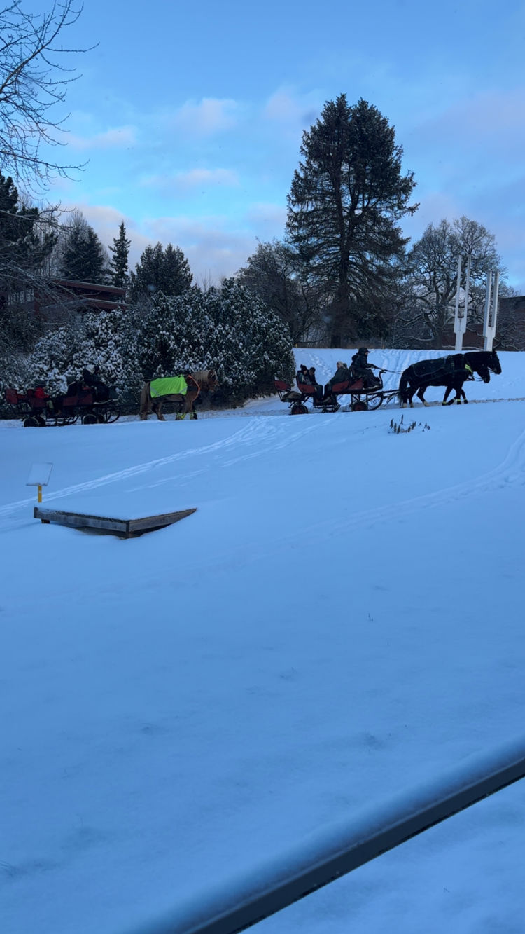 En gruppe mennesker på hester på et snødekt jorde