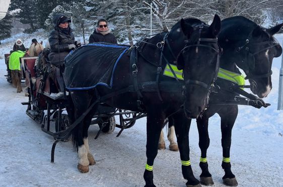 et par hester som trekker en vogn