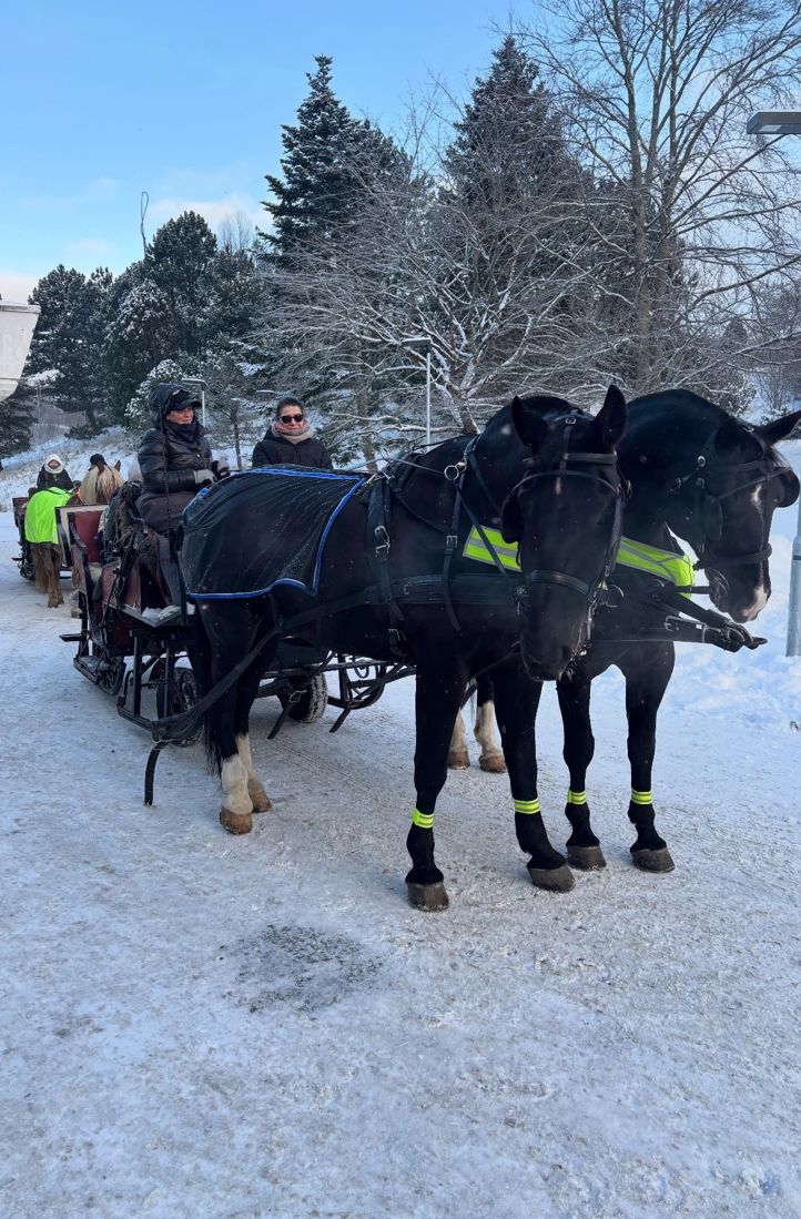 et par hester som trekker en vogn