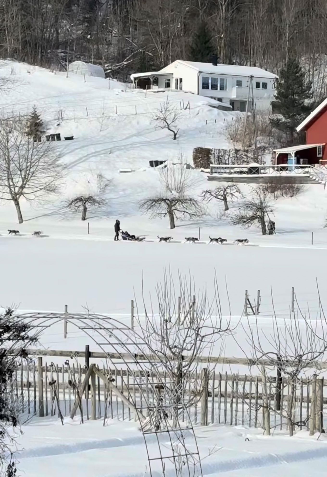 En person som går i en snødekt hage En person som går i en snødekt hage