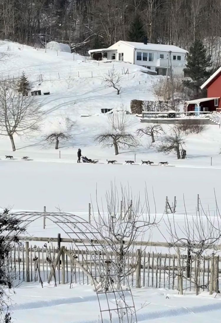 En person som går i en snødekt hage