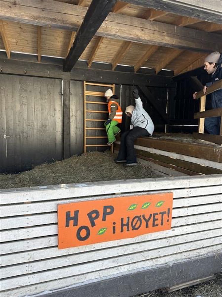 En gruppe mennesker som jobber på en byggeplass